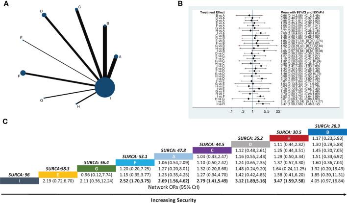 https://cdn.ncbi.nlm.nih.gov/pmc/blobs/bce2/10272816/11c78c7b939c/fonc-13-1166580-g005.jpg