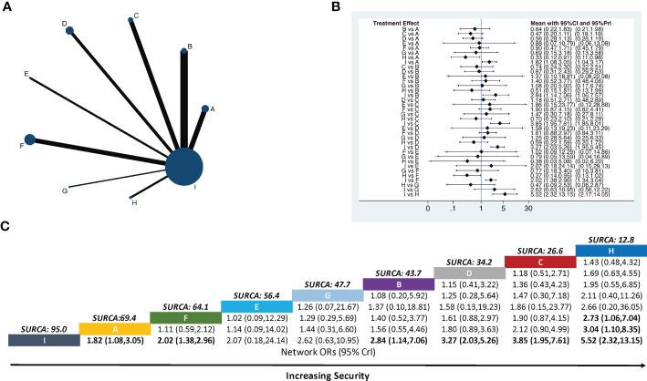 https://cdn.ncbi.nlm.nih.gov/pmc/blobs/bce2/10272816/2ad134be2f7c/fonc-13-1166580-g004.jpg