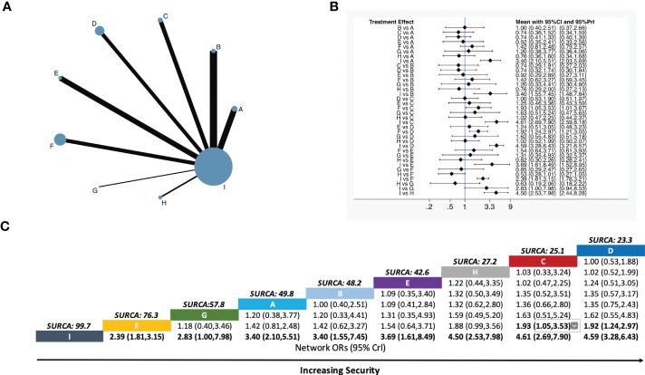 https://cdn.ncbi.nlm.nih.gov/pmc/blobs/bce2/10272816/dd693161390c/fonc-13-1166580-g003.jpg