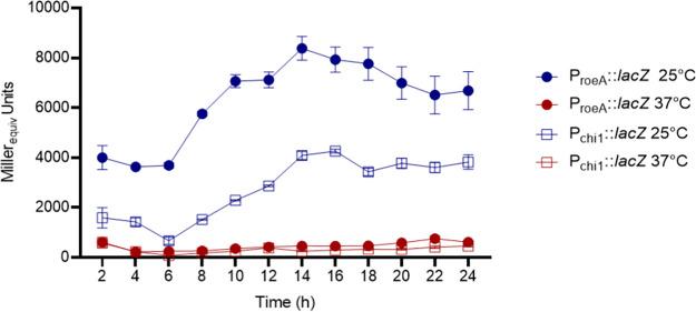 https://cdn.ncbi.nlm.nih.gov/pmc/blobs/bce3/10101115/6e79801ae31f/spectrum.00364-23-f006.jpg
