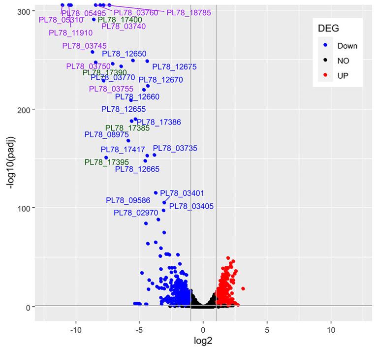 https://cdn.ncbi.nlm.nih.gov/pmc/blobs/bce3/10101115/c1efb50783c3/spectrum.00364-23-f005.jpg