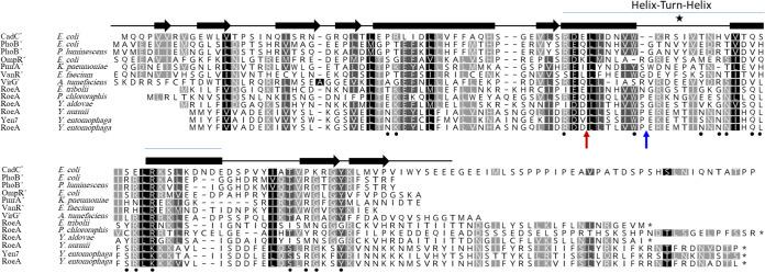 https://cdn.ncbi.nlm.nih.gov/pmc/blobs/bce3/10101115/f37bf150a388/spectrum.00364-23-f004.jpg