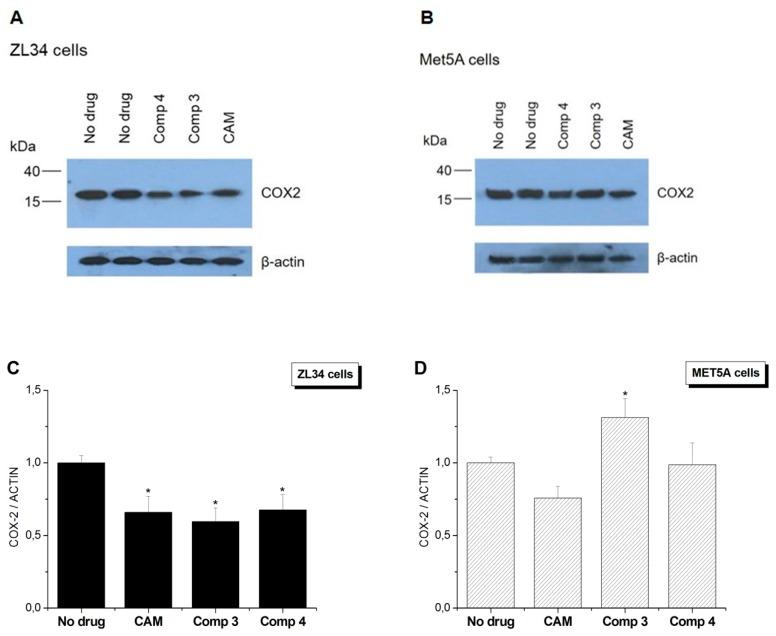 https://cdn.ncbi.nlm.nih.gov/pmc/blobs/bce3/6466596/efbd317c70f4/antibiotics-08-00009-g003.jpg