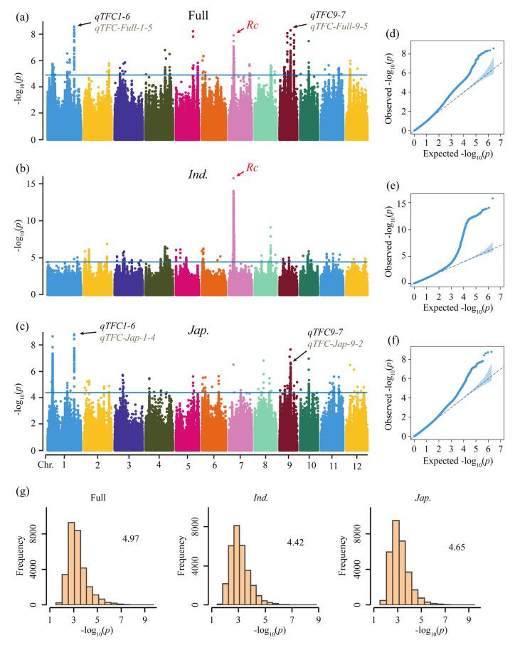 https://cdn.ncbi.nlm.nih.gov/pmc/blobs/bce4/10531027/149868ef1920/genes-14-01684-g002.jpg