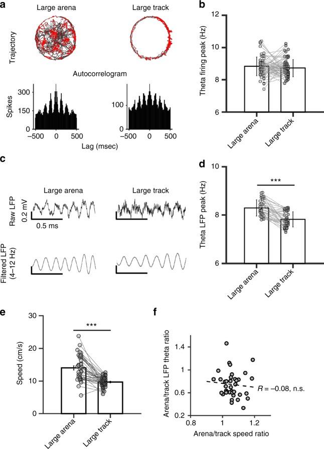 https://cdn.ncbi.nlm.nih.gov/pmc/blobs/bce9/6381105/51c293fe32d4/41467_2019_8795_Fig6_HTML.jpg