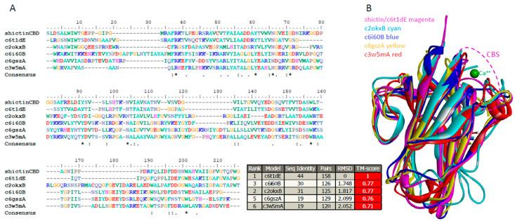 https://cdn.ncbi.nlm.nih.gov/pmc/blobs/bcec/11512411/265e013e3e86/viruses-16-01546-g006.jpg