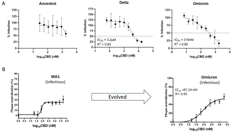 https://cdn.ncbi.nlm.nih.gov/pmc/blobs/bcec/11512411/856f22059368/viruses-16-01546-g008.jpg