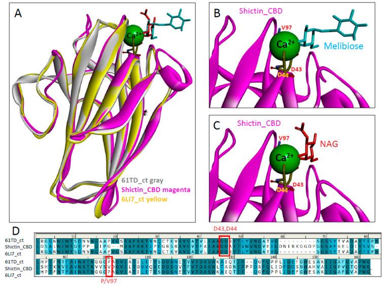 https://cdn.ncbi.nlm.nih.gov/pmc/blobs/bcec/11512411/fd7b0eb924c1/viruses-16-01546-g007.jpg