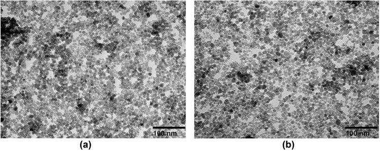 https://cdn.ncbi.nlm.nih.gov/pmc/blobs/bcec/9380906/083128fa5307/j_biol-2022-0074-fig003.jpg