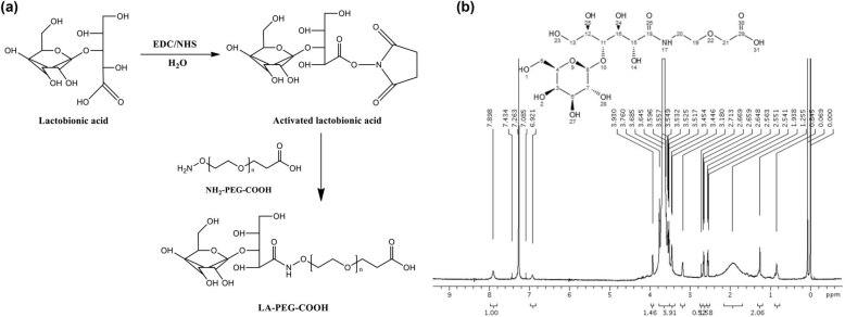 https://cdn.ncbi.nlm.nih.gov/pmc/blobs/bcec/9380906/c62873677fc1/j_biol-2022-0074-fig001.jpg