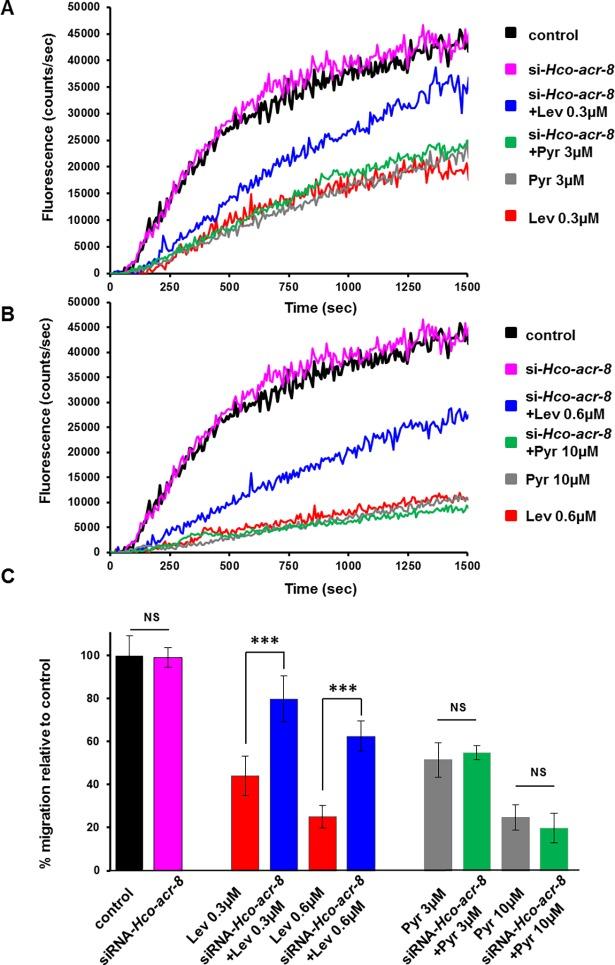 https://cdn.ncbi.nlm.nih.gov/pmc/blobs/bcef/5931475/4a47d16ef25d/ppat.1006996.g006.jpg