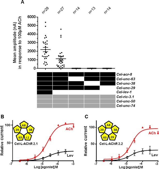 https://cdn.ncbi.nlm.nih.gov/pmc/blobs/bcef/5931475/a4bf25020653/ppat.1006996.g003.jpg