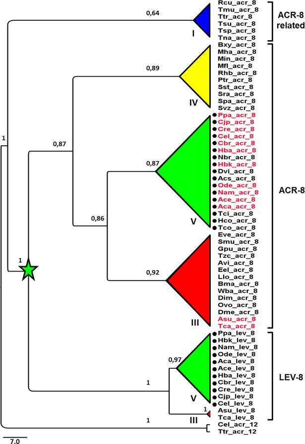 https://cdn.ncbi.nlm.nih.gov/pmc/blobs/bcef/5931475/d567b55e6525/ppat.1006996.g001.jpg