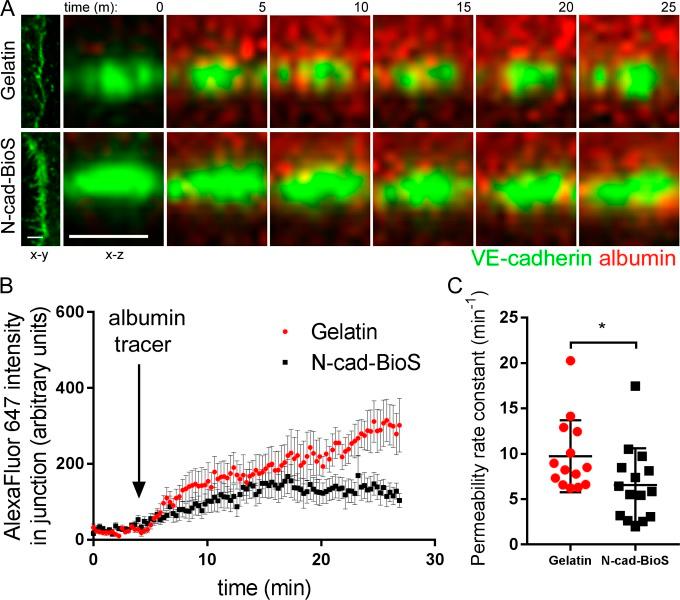 https://cdn.ncbi.nlm.nih.gov/pmc/blobs/bcef/6314553/fc41d5f9b4fd/JCB_201802076_Fig3.jpg