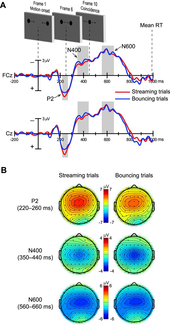 https://cdn.ncbi.nlm.nih.gov/pmc/blobs/bcf1/5562831/ab8737158814/41598_2017_8801_Fig3_HTML.jpg