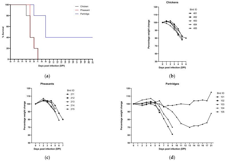 https://cdn.ncbi.nlm.nih.gov/pmc/blobs/bcf2/9968179/6a7b083748d2/viruses-15-00536-g001.jpg