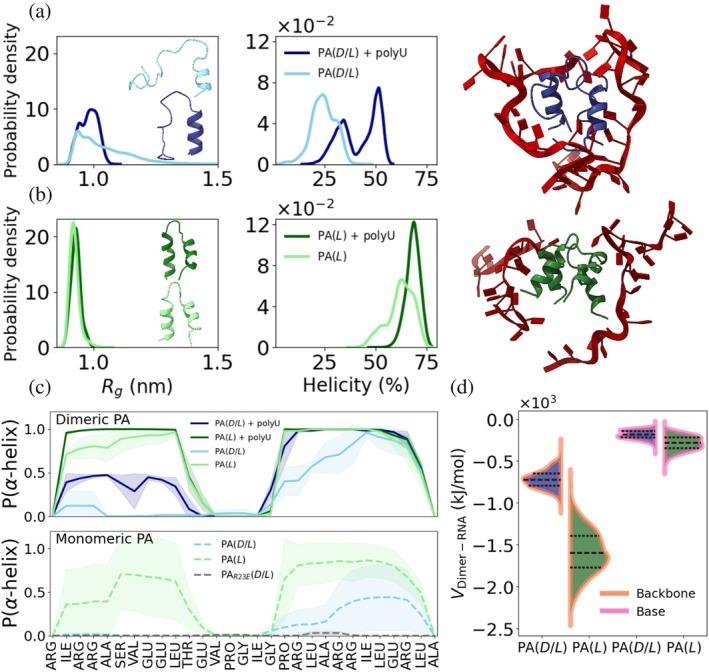 https://cdn.ncbi.nlm.nih.gov/pmc/blobs/bcfb/12375978/554de9bd939d/PRO-34-e70273-g001.jpg