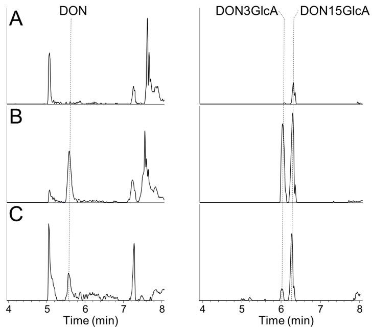https://cdn.ncbi.nlm.nih.gov/pmc/blobs/bcfb/8540402/944c3e1c1bce/toxins-13-00675-g0A1.jpg