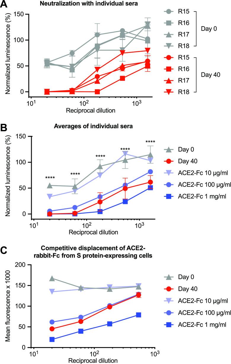 https://cdn.ncbi.nlm.nih.gov/pmc/blobs/bcfd/8262850/7e1f8009ac51/mbio.00930-21-f001.jpg