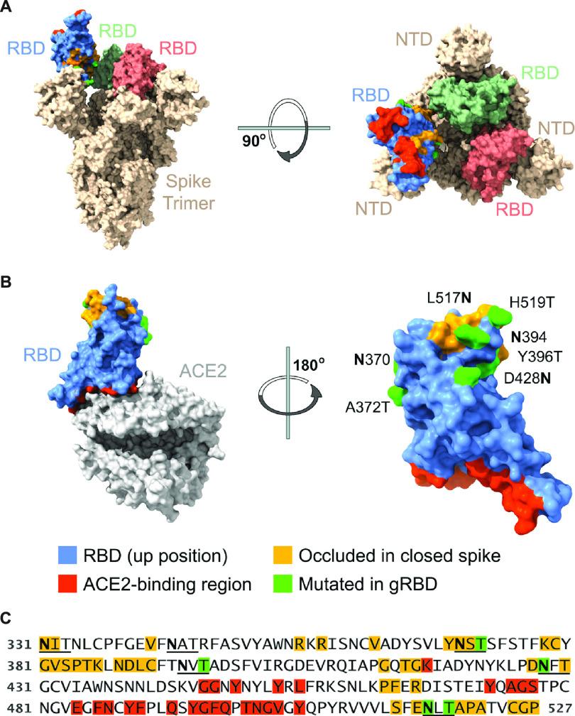 https://cdn.ncbi.nlm.nih.gov/pmc/blobs/bcfd/8262850/eb1b76852496/mbio.00930-21-f003.jpg