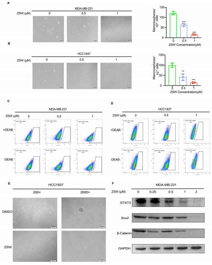 https://cdn.ncbi.nlm.nih.gov/pmc/blobs/bcfe/10177496/35e433989696/cancers-15-02424-g006.jpg