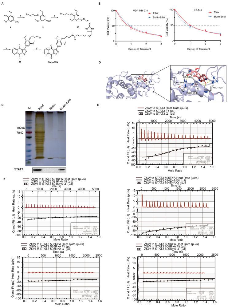 https://cdn.ncbi.nlm.nih.gov/pmc/blobs/bcfe/10177496/46a71ab41ca1/cancers-15-02424-g003.jpg