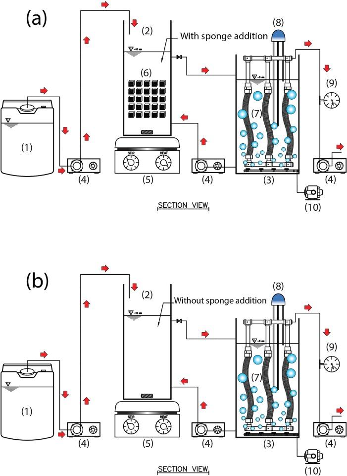 https://cdn.ncbi.nlm.nih.gov/pmc/blobs/bcfe/6913871/8574680993d1/pone.0214976.g001.jpg
