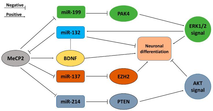 https://cdn.ncbi.nlm.nih.gov/pmc/blobs/bcfe/9855933/dae66dda2673/biomolecules-13-00018-g001.jpg