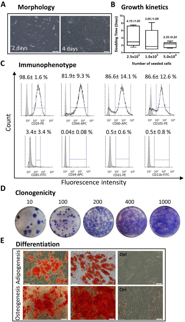 https://cdn.ncbi.nlm.nih.gov/pmc/blobs/bcff/7676232/41194534722b/41598_2020_76796_Fig1_HTML.jpg