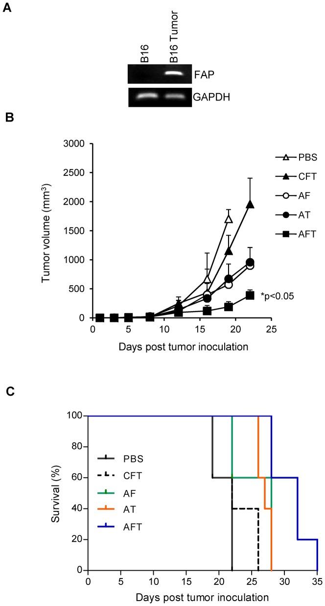https://cdn.ncbi.nlm.nih.gov/pmc/blobs/bd02/3861387/44a3542dc6ed/pone.0082658.g002.jpg