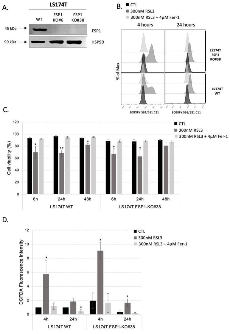 https://cdn.ncbi.nlm.nih.gov/pmc/blobs/bd02/9774558/5ee133367544/antioxidants-11-02412-g002.jpg