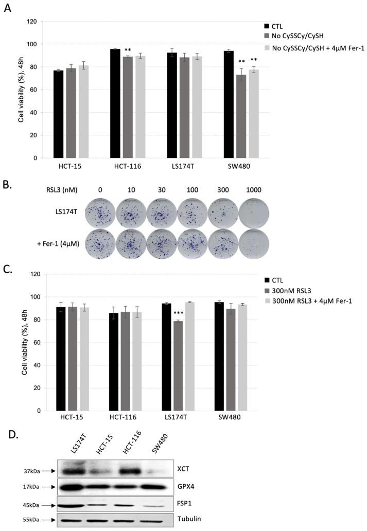https://cdn.ncbi.nlm.nih.gov/pmc/blobs/bd02/9774558/dff5c1c7dbf9/antioxidants-11-02412-g001.jpg