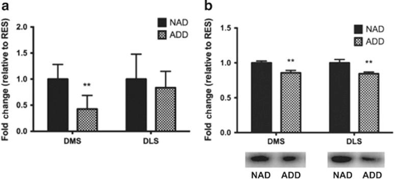 https://cdn.ncbi.nlm.nih.gov/pmc/blobs/bd04/4445746/18a7096e9124/tp2014144f2.jpg