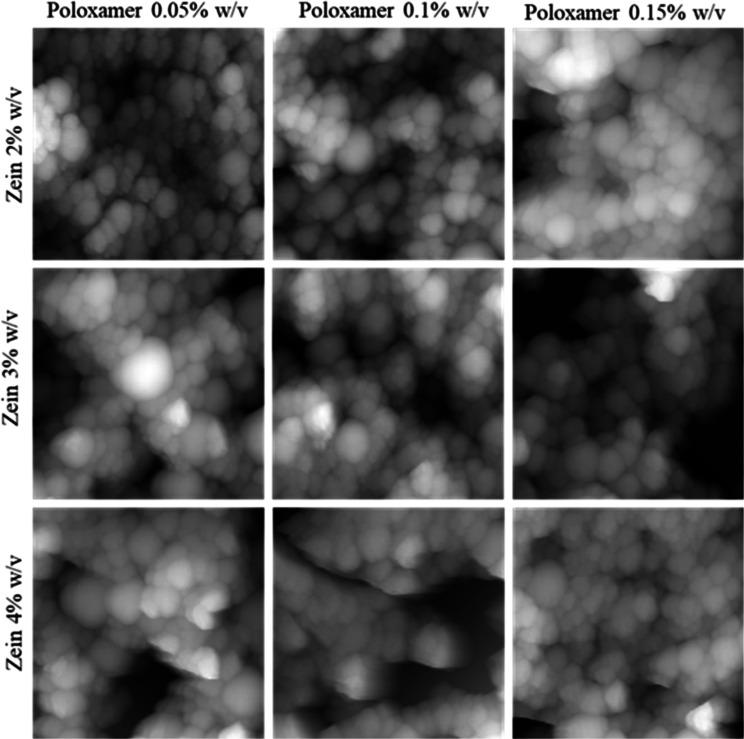 https://cdn.ncbi.nlm.nih.gov/pmc/blobs/bd05/12199041/dae509a24287/ao5c01817_0003.jpg