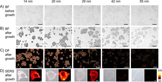 https://cdn.ncbi.nlm.nih.gov/pmc/blobs/bd05/7876832/b20e29356596/ao0c05458_0003.jpg