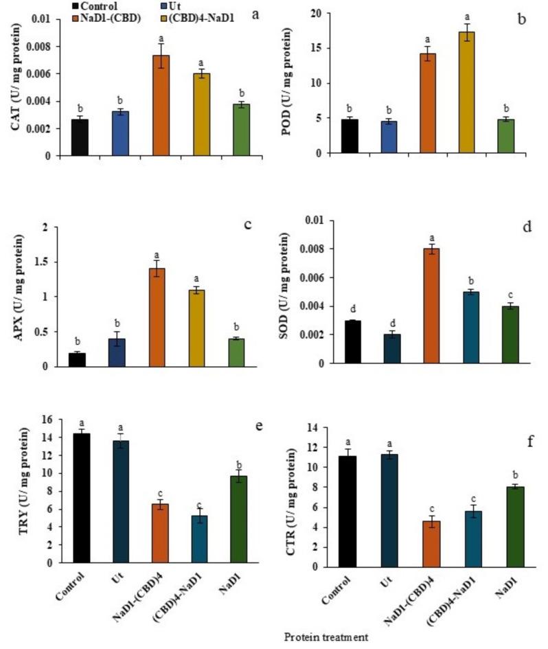 https://cdn.ncbi.nlm.nih.gov/pmc/blobs/bd07/11455875/c567530316f1/41598_2024_73710_Fig6_HTML.jpg