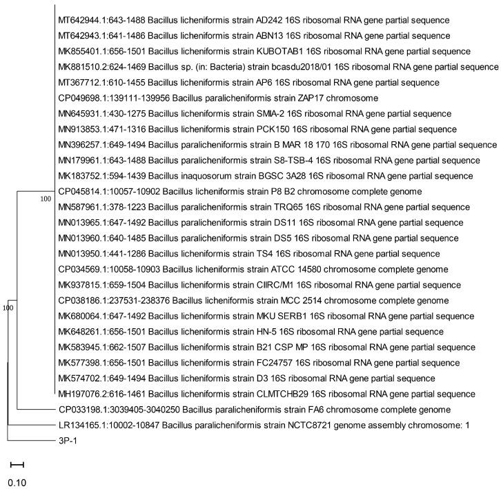 https://cdn.ncbi.nlm.nih.gov/pmc/blobs/bd08/12195215/cb8871e47b9c/microorganisms-13-01224-g001.jpg