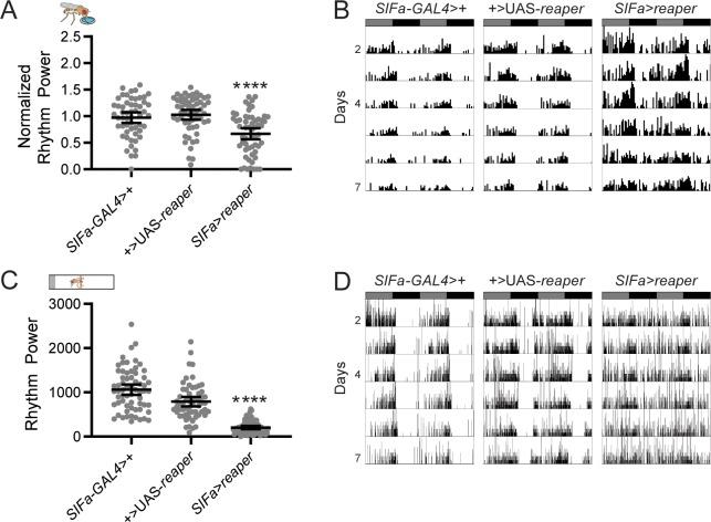 https://cdn.ncbi.nlm.nih.gov/pmc/blobs/bd08/6860455/b40160dafc35/pgen.1008478.g003.jpg