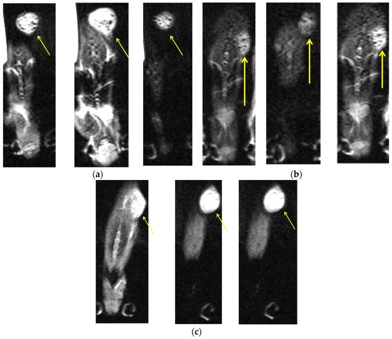https://cdn.ncbi.nlm.nih.gov/pmc/blobs/bd09/5457194/f0fab5ca6aed/materials-09-00943-g005.jpg