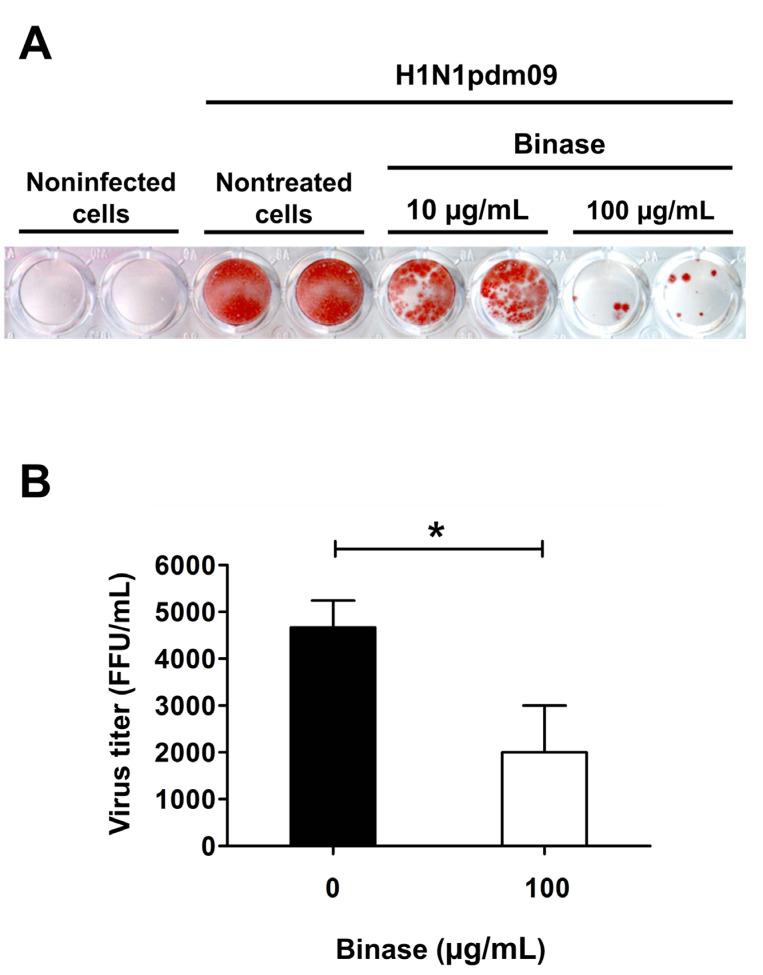 https://cdn.ncbi.nlm.nih.gov/pmc/blobs/bd09/7663932/4ad5d65a61bf/ijms-21-08294-g001.jpg
