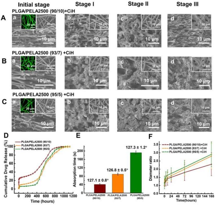 https://cdn.ncbi.nlm.nih.gov/pmc/blobs/bd0a/9368923/414add46a337/ijms-23-08581-g003.jpg