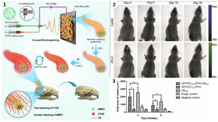 https://cdn.ncbi.nlm.nih.gov/pmc/blobs/bd0a/9368923/93b35b7e5022/ijms-23-08581-g005.jpg