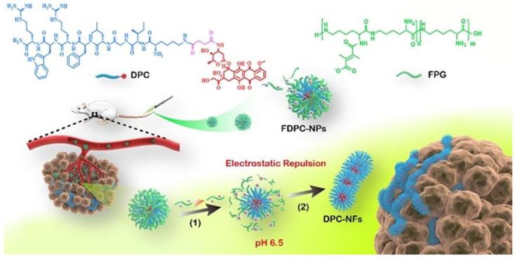 https://cdn.ncbi.nlm.nih.gov/pmc/blobs/bd0a/9368923/d80068ef80bb/ijms-23-08581-g002.jpg