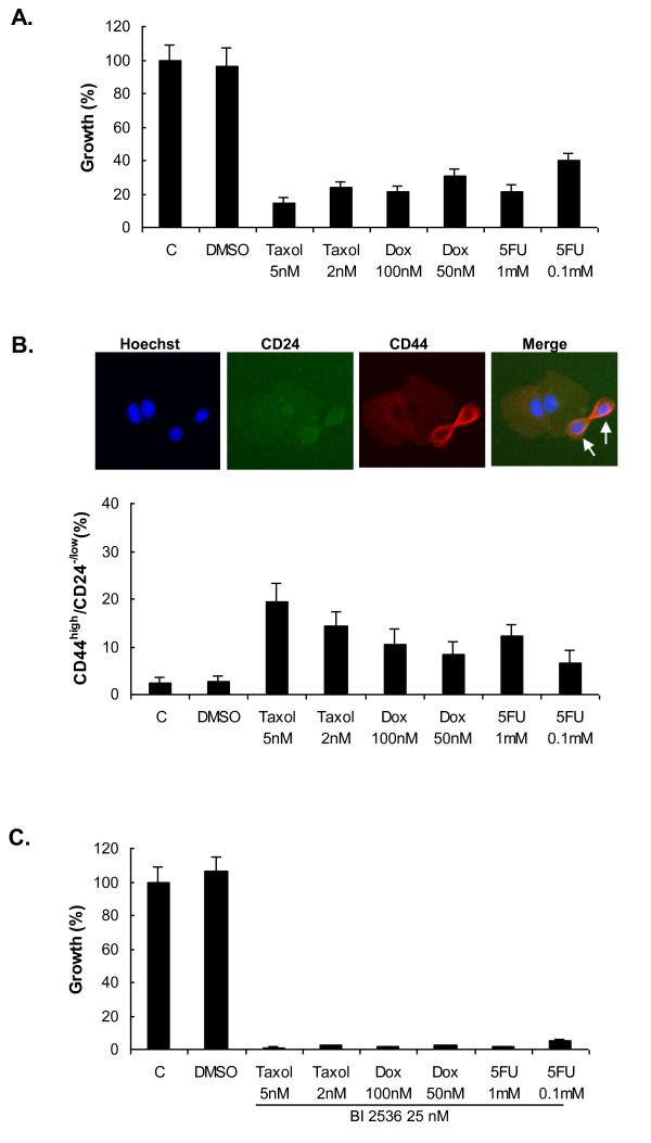 https://cdn.ncbi.nlm.nih.gov/pmc/blobs/bd0c/3496140/a2c5fe4d2dfe/bcr3107-5.jpg