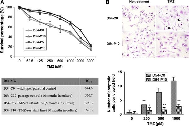 https://cdn.ncbi.nlm.nih.gov/pmc/blobs/bd0d/3273683/38c80411f15e/11060_2011_729_Fig1_HTML.jpg