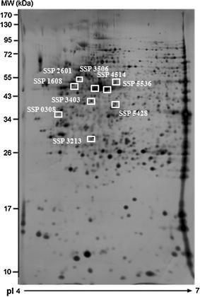 https://cdn.ncbi.nlm.nih.gov/pmc/blobs/bd0d/3273683/3b7c7caff217/11060_2011_729_Fig3_HTML.jpg