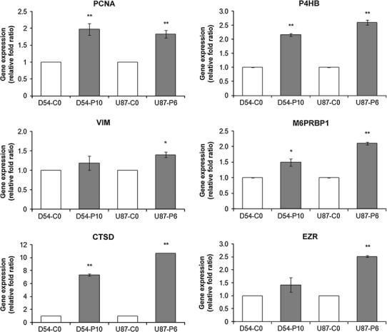 https://cdn.ncbi.nlm.nih.gov/pmc/blobs/bd0d/3273683/50fda7d126d2/11060_2011_729_Fig4_HTML.jpg