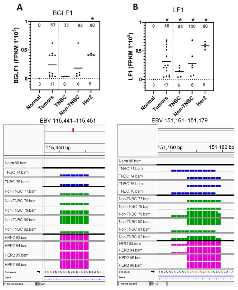https://cdn.ncbi.nlm.nih.gov/pmc/blobs/bd0f/12294798/6ddde72295ee/genes-16-00756-g005.jpg