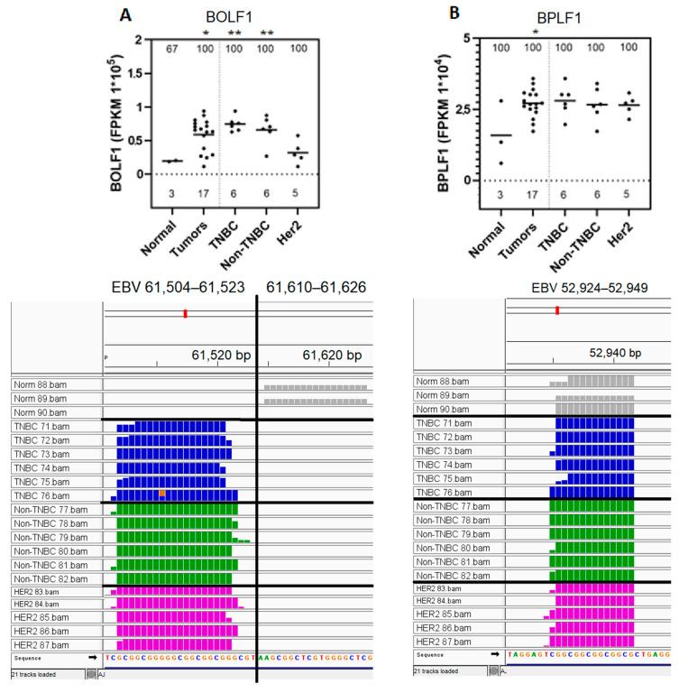https://cdn.ncbi.nlm.nih.gov/pmc/blobs/bd0f/12294798/749277cd9a27/genes-16-00756-g003.jpg