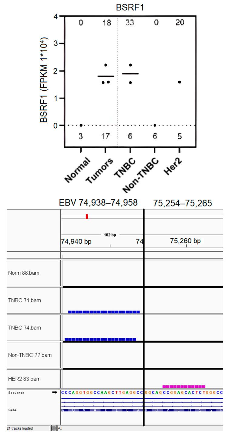 https://cdn.ncbi.nlm.nih.gov/pmc/blobs/bd0f/12294798/d678bc538e2c/genes-16-00756-g006.jpg